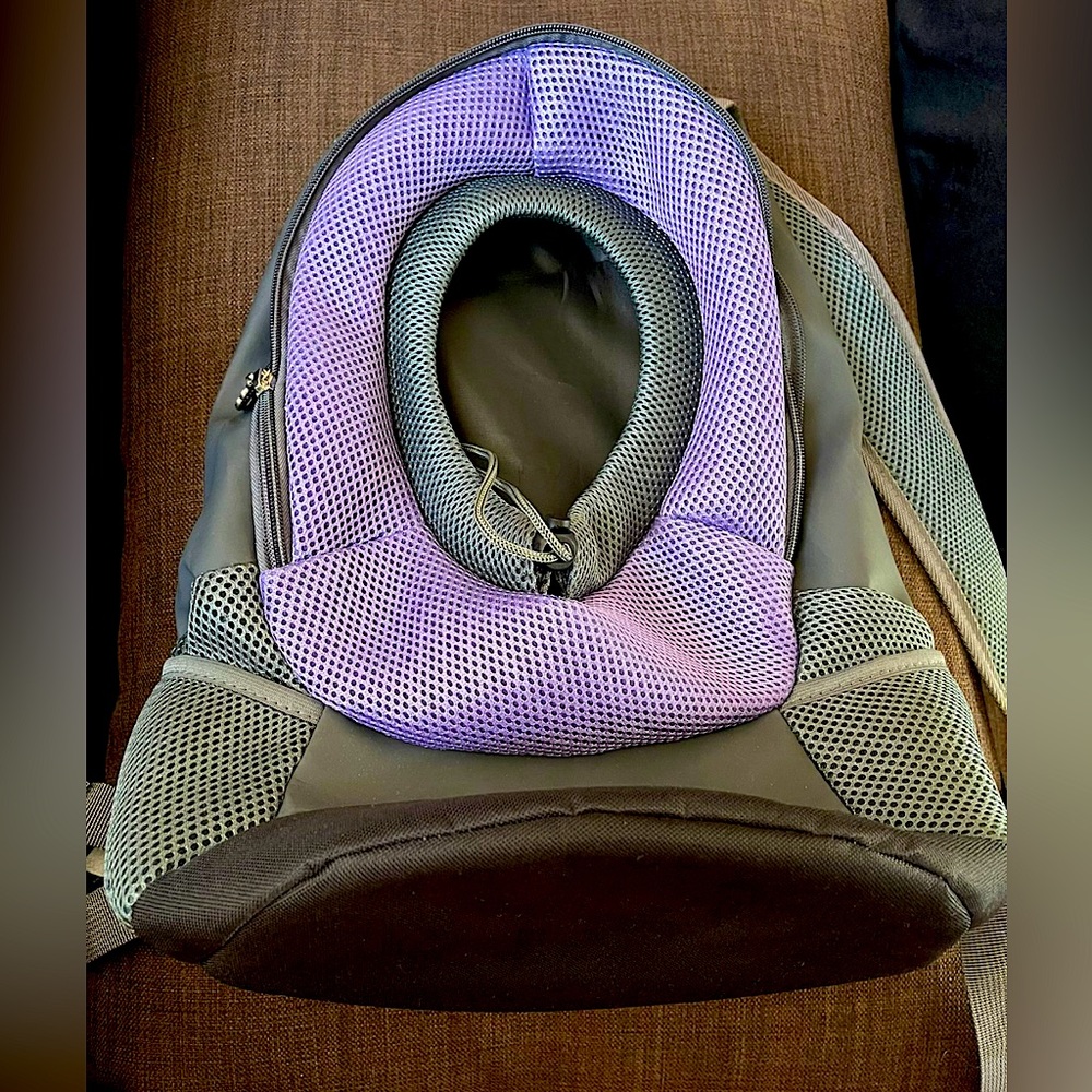 Small Pet carrying backpack